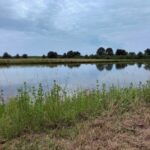 Property photo for land for sale in Acadia County Louisiana