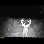 Property photo for land for sale in Grundy County Missouri