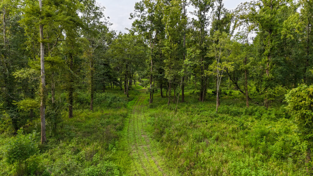 Property photo for land for sale in Jefferson County Mississippi