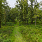 Property photo for land for sale in Jefferson County Mississippi