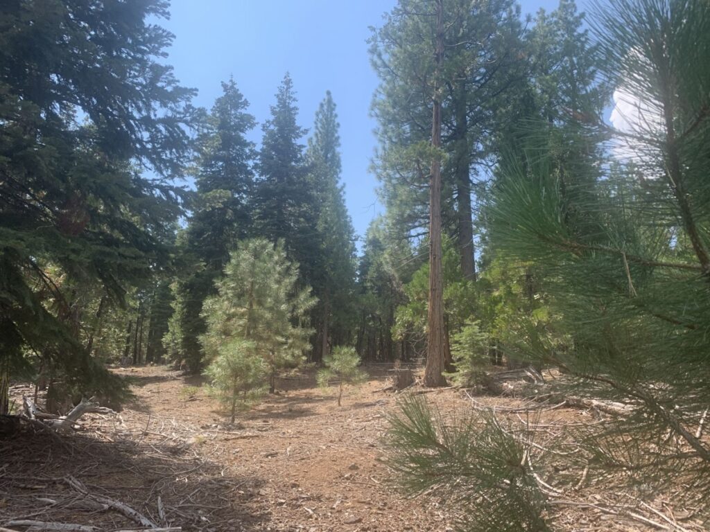 Property photo for land for sale in Modoc County California