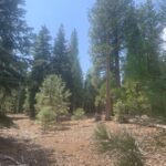 Property photo for land for sale in Modoc County California