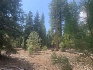 Property photo for land for sale in Modoc County California