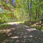 Property photo for land for sale in Tazewell County Virginia