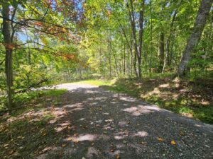 Property photo for land for sale in Tazewell County Virginia