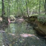 Property photo for land for sale in Hardin County Tennessee