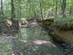 Property photo for land for sale in Hardin County Tennessee