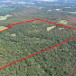 Property photo for land for sale in Cedar County Missouri