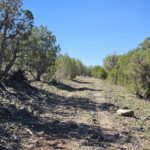 Property photo for land for sale in Coconino County Arizona