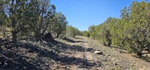 Property photo for land for sale in Coconino County Arizona