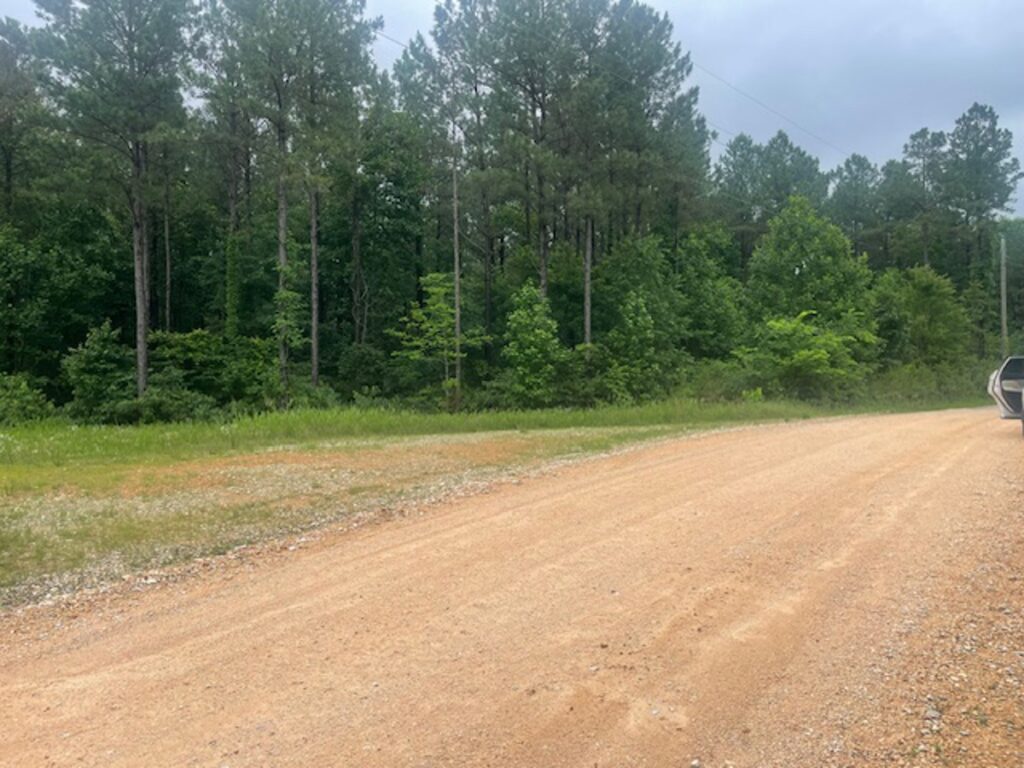 Property photo for land for sale in Henderson County Tennessee