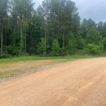 Property photo for land for sale in Henderson County Tennessee