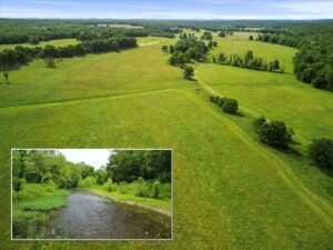 Property photo for land for sale in Howell County Missouri