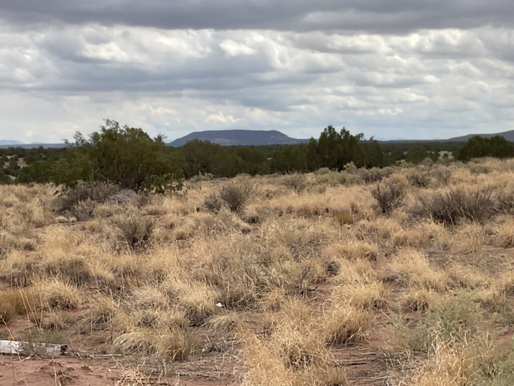Property photo for land for sale in Apache County Arizona