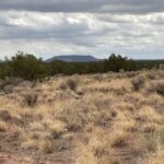 Property photo for land for sale in Apache County Arizona
