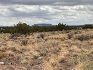 Property photo for land for sale in Apache County Arizona