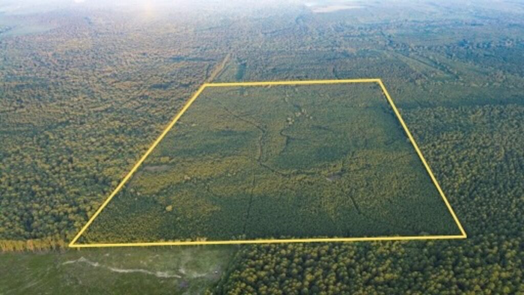 Property photo for land for sale in Claiborne County Louisiana