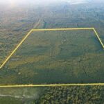 Property photo for land for sale in Claiborne County Louisiana