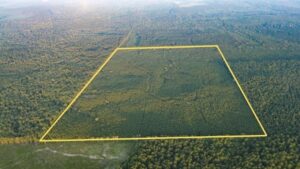 Property photo for land for sale in Claiborne County Louisiana