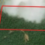 Property photo for land for sale in Shannon County Missouri