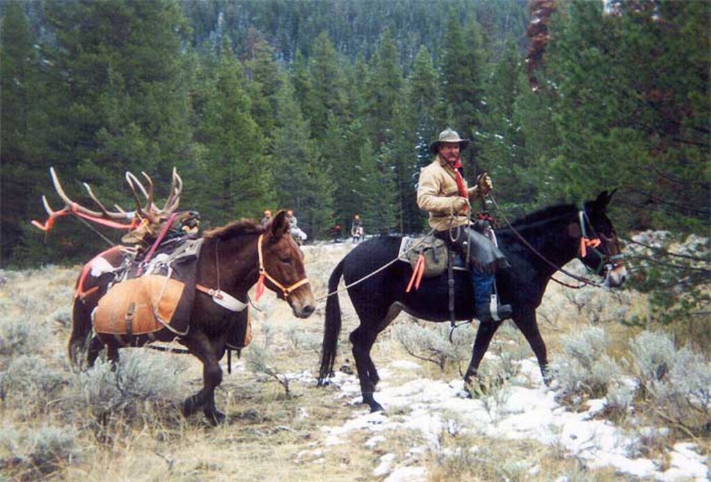 Property photo for land for sale in Grand County Colorado