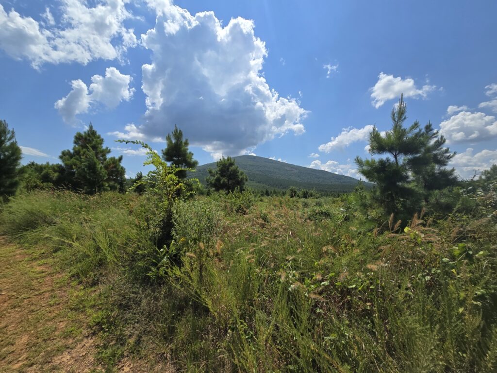 Property photo for land for sale in Le Flore County Oklahoma