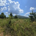 Property photo for land for sale in Le Flore County Oklahoma