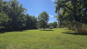 Property photo for land for sale in Carroll County Missouri