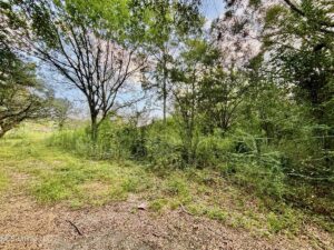 Property photo for land for sale in Amite County Mississippi