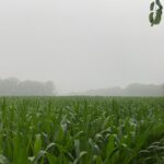 Property photo for land for sale in Johnson County Indiana