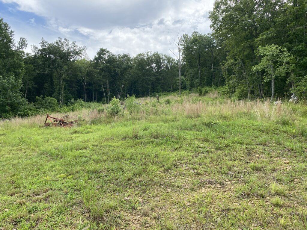 Property photo for land for sale in Searcy County Arkansas
