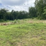 Property photo for land for sale in Searcy County Arkansas