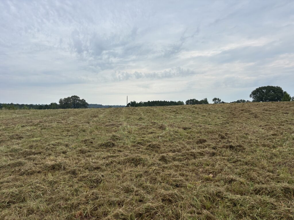 Property photo for land for sale in Cass County Texas