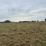 Property photo for land for sale in Cass County Texas