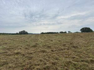 Property photo for land for sale in Cass County Texas