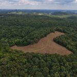 Property photo for land for sale in Izard County Arkansas