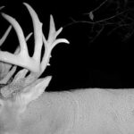 Property photo for land for sale in Franklin County Kansas