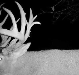 Property photo for land for sale in Franklin County Kansas