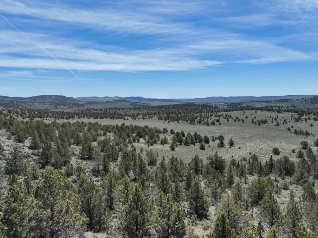 Property photo for land for sale in Harney County Oregon