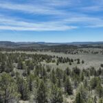 Property photo for land for sale in Harney County Oregon