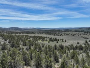 Property photo for land for sale in Harney County Oregon