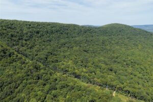 Property photo for land for sale in Madison County Arkansas