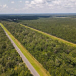 Property photo for land for sale in Hardin County Texas