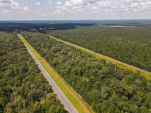 Property photo for land for sale in Hardin County Texas