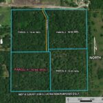 Property photo for land for sale in Bradford County Florida