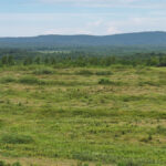 Property photo for land for sale in Albemarle County Virginia