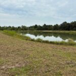 Property photo for land for sale in Acadia County Louisiana