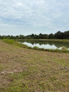 Property photo for land for sale in Acadia County Louisiana