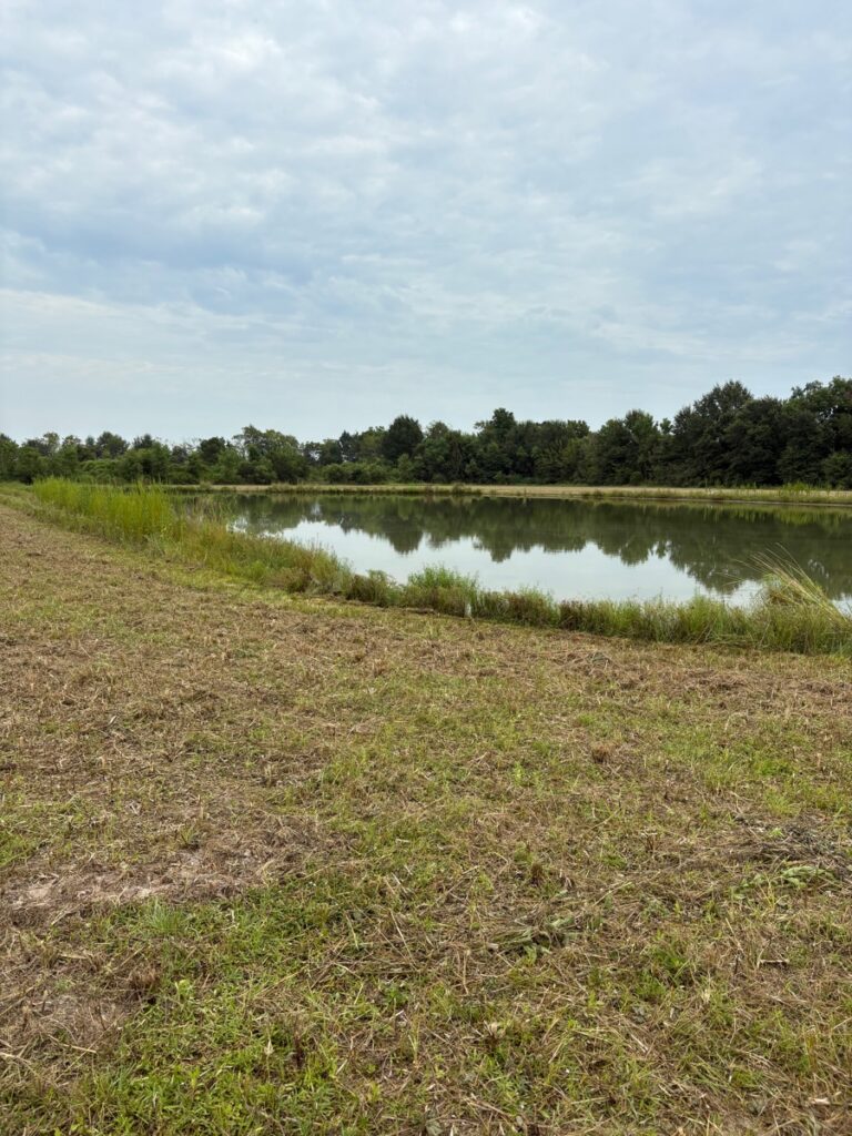 Property photo for land for sale in Acadia County Louisiana