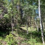 Property photo for land for sale in Gunnison County Colorado